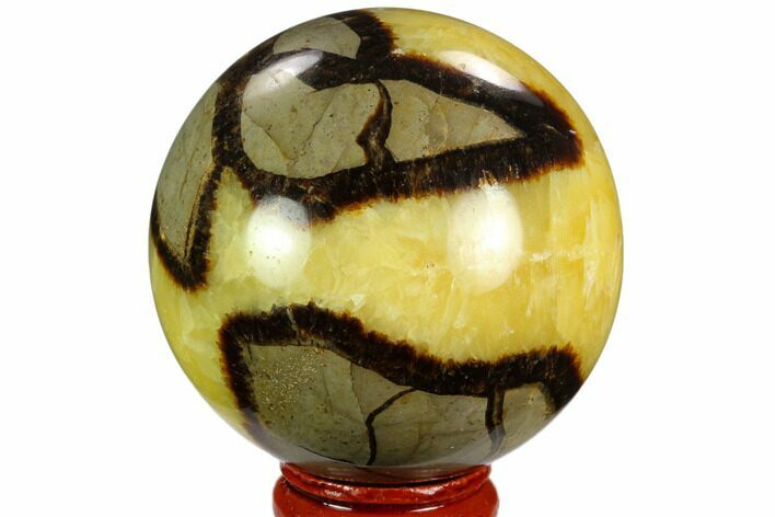 Polished Septarian Sphere - Madagascar #122913